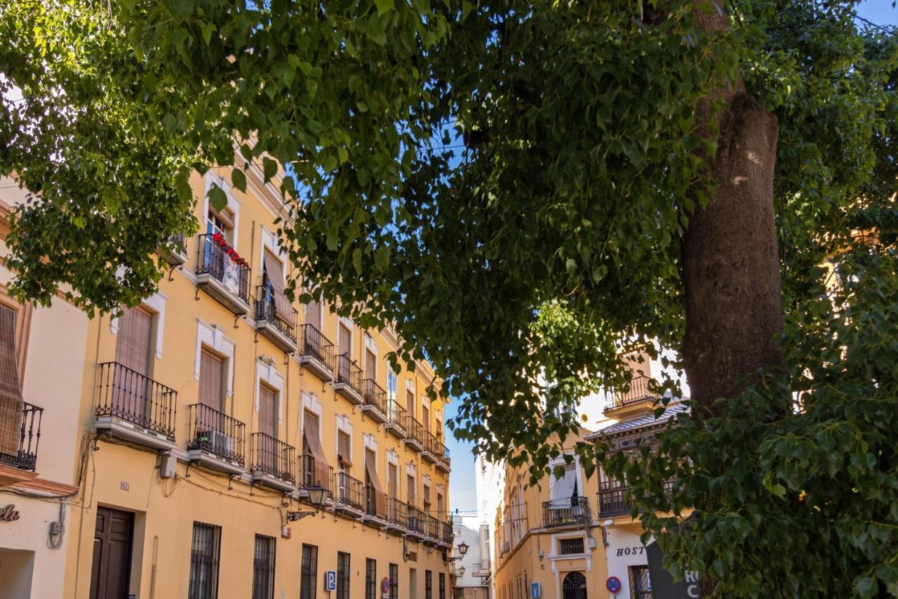 Apartmán Nine O Clock San Agustin Sevilla Exteriér fotografie